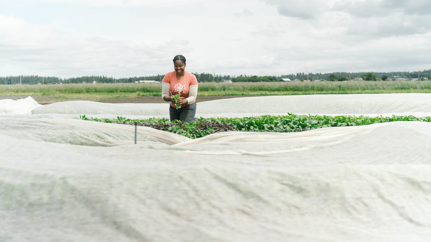 A woman picking vegetables from a gardening field