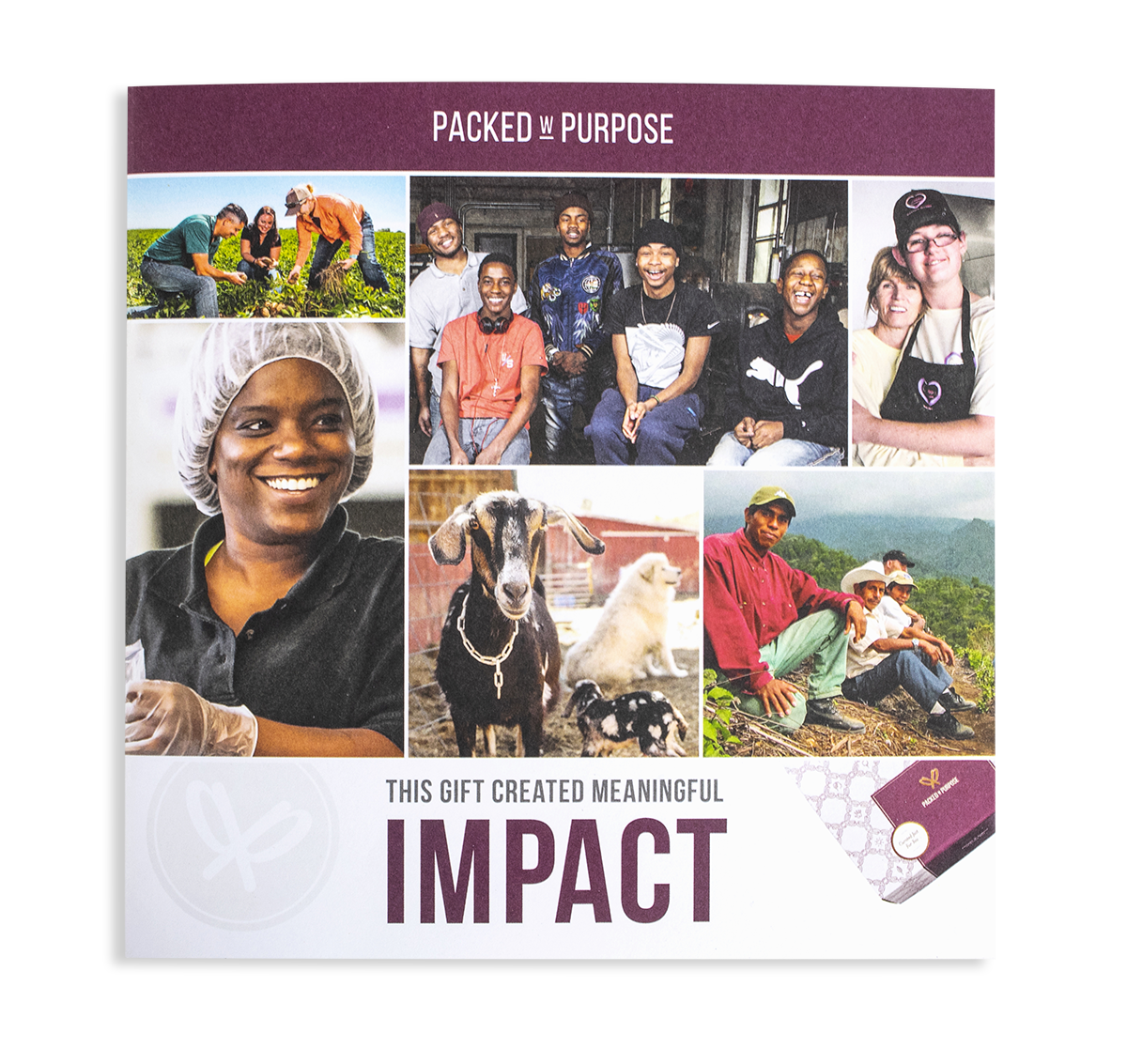 PwP Impact Booklet