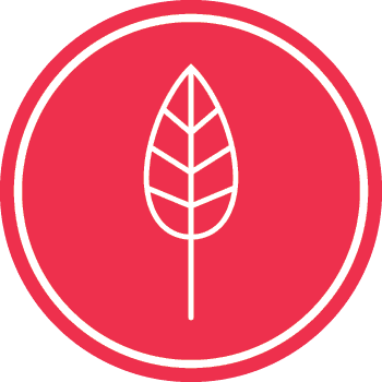 Environment and Sustainability icon