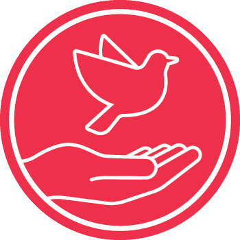 Youth Advancement icon