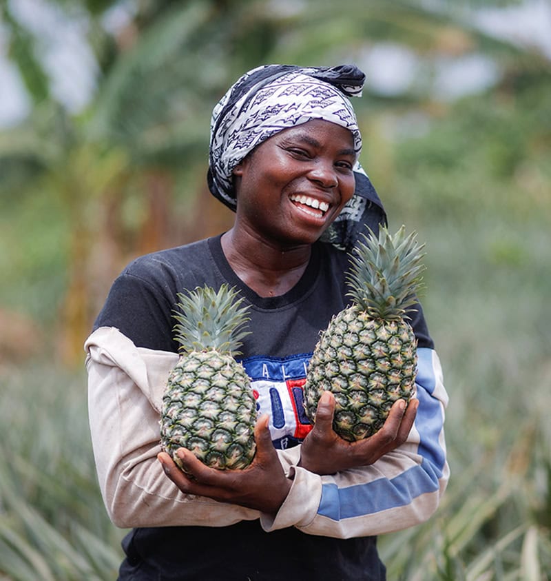 A women smiling with two freshly picked pineapples